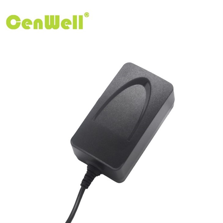 48W korea wall power adapter  004