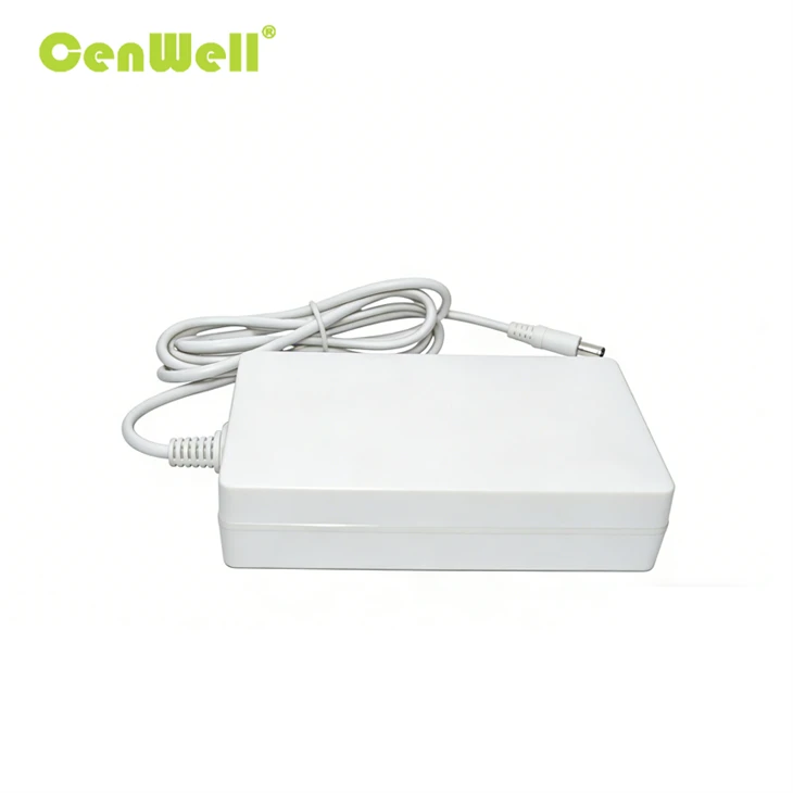 36V 6.66A Electric Vehicle Battery Charger high quality